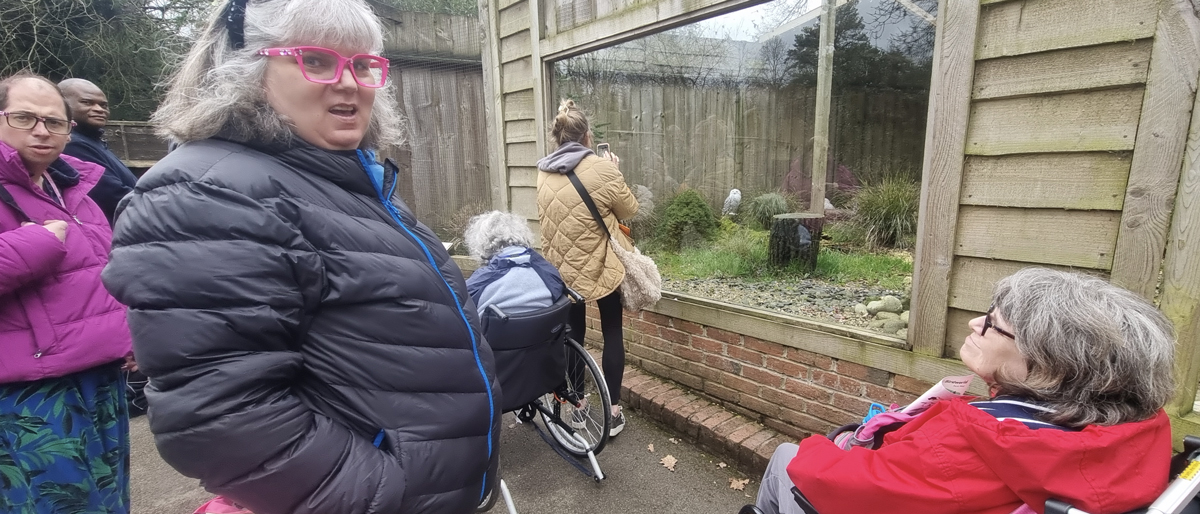 Birdworld Trip