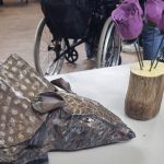 ArmadilloRosesFrog